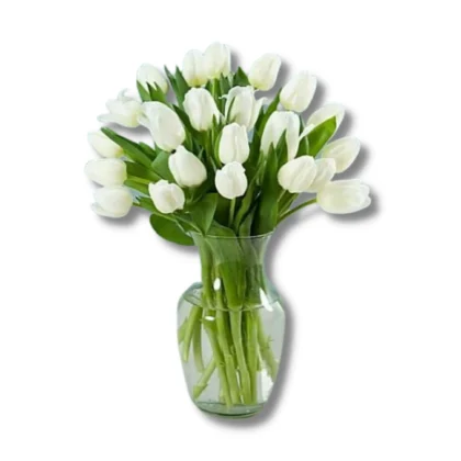 Tulip- White 1 Piece