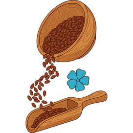 Seeds