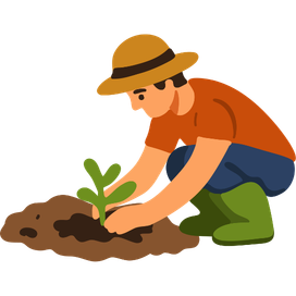 Outdoor Plants