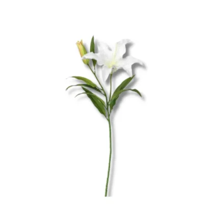 Lily - White