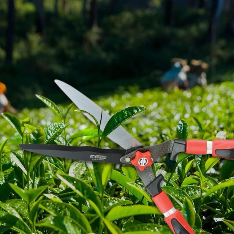 Adjustable Garden Clipper - Image 3