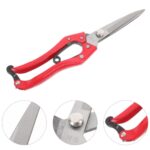 Spring Garden Scissor