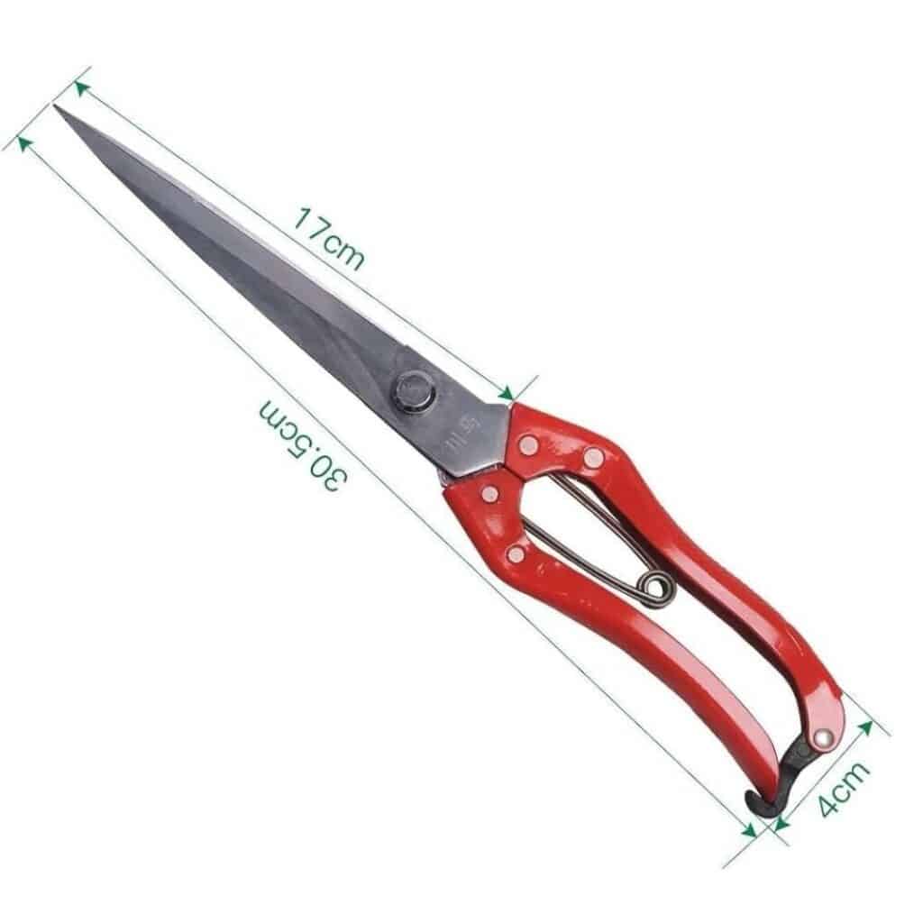 Spring Garden Scissor - Image 4