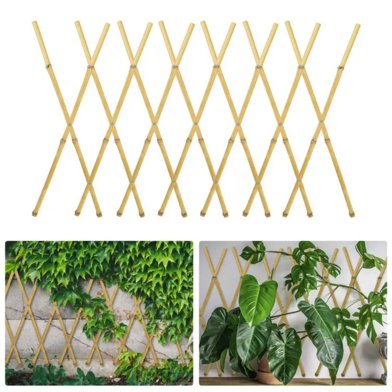 Bamboo Extensible Trellis - Image 2