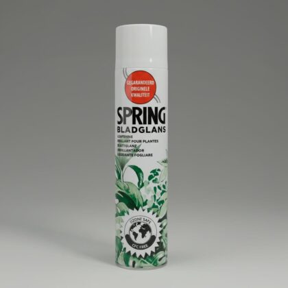 Spring Leaf Shine