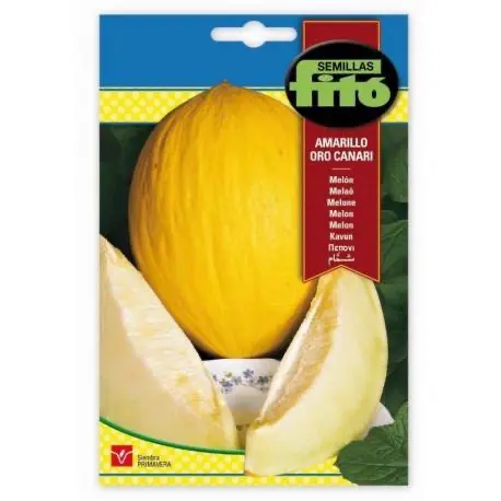 Melon Amarillo Oro- canari Seeds