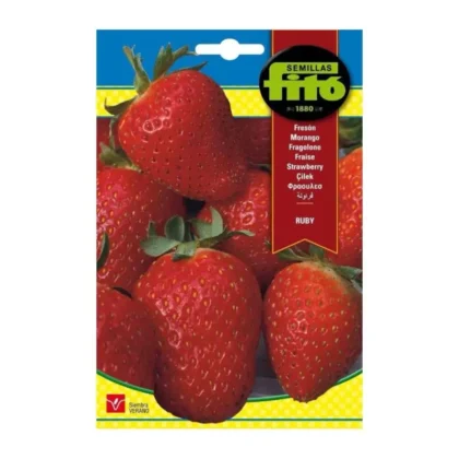 Strawberry Rubi Seeds