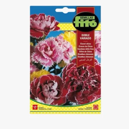 Dianthus chinensis double mix seed