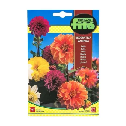 Dahlia Decorative Mixed Seed