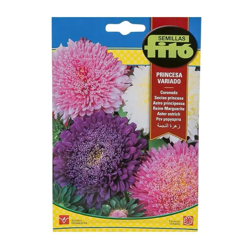 Aster Ostrich Plume Mix Seed