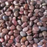 Pebbles – Polished Brown Stones - Image 2