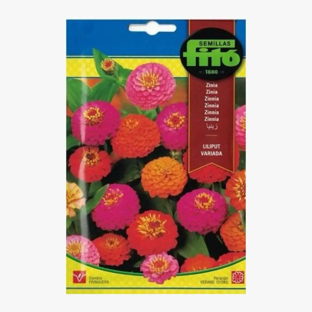 Zinnia lilliput mix Seed