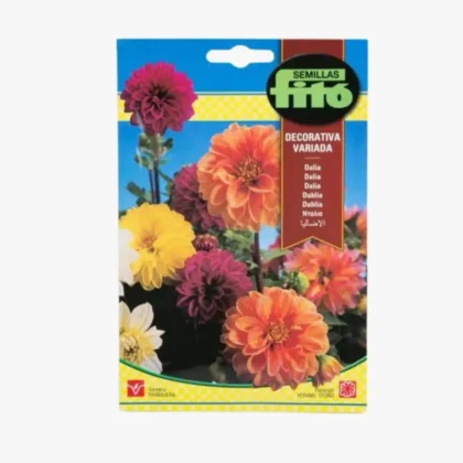 Zinnia Dalia flowered Mix Seed