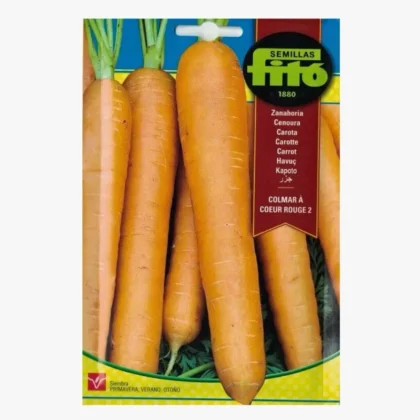 Carrot Touchon Seeds