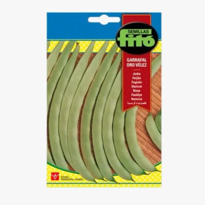 Bean Garrafal Oro- Velez Seeds