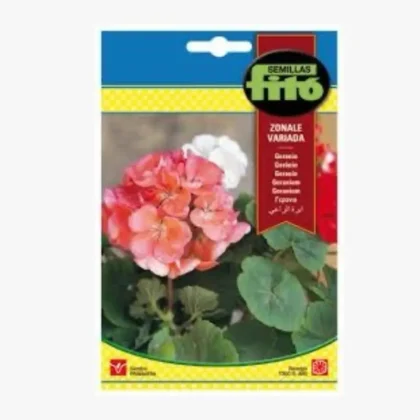 Geranium Zonal Mixed Seed