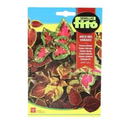 Coleus Rainbow Mixed Seed