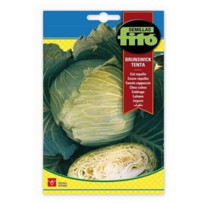 Cabbage Brunswick- Tenta Seeds