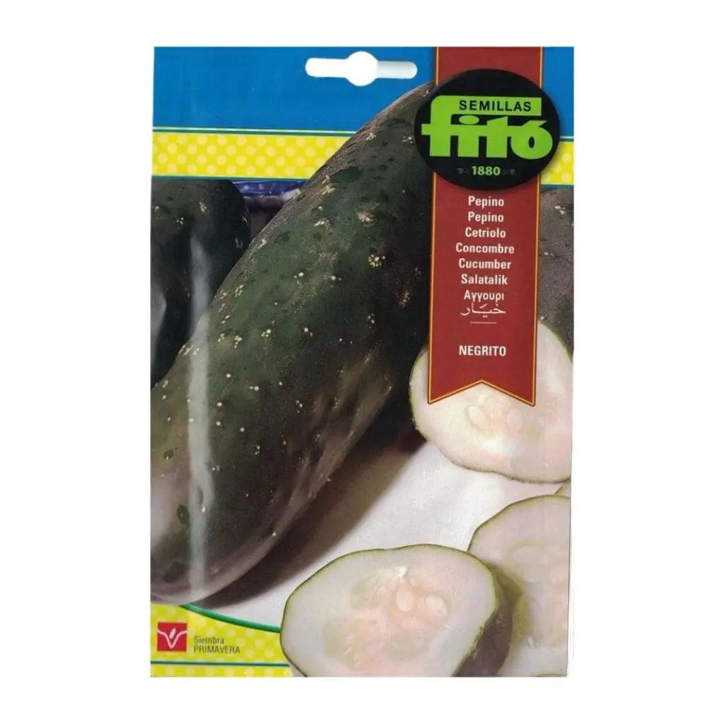 Cucumber Ashley Seeds