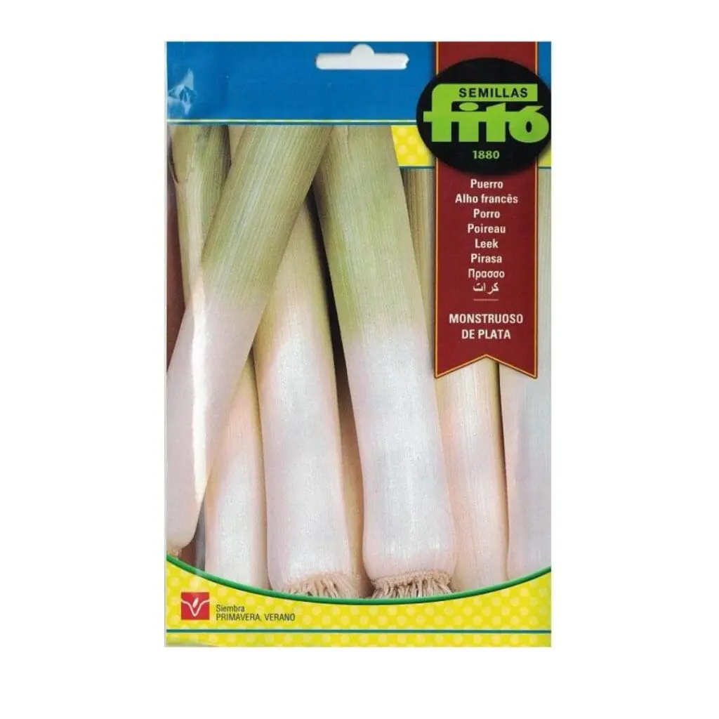 Leek Monstruoso de Plata Seeds